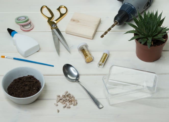 Jardin de succulentes