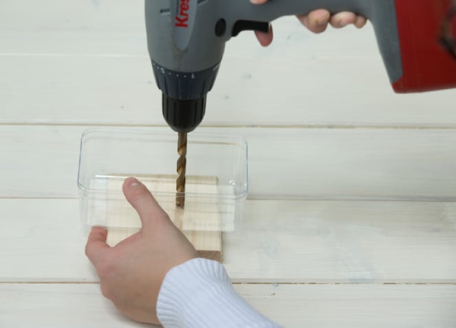 Jardin de succulentes