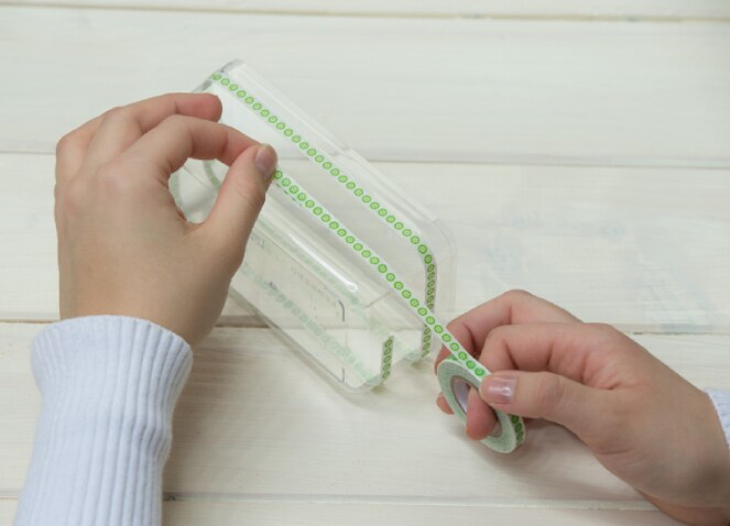 Jardin de succulentes