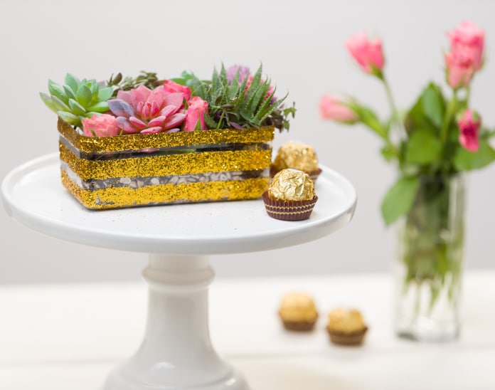 Jardin de succulentes