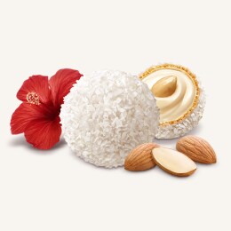 Rafaello