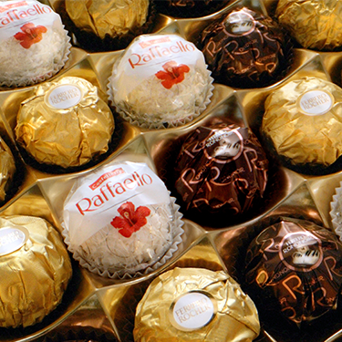 Rocher Collection T12