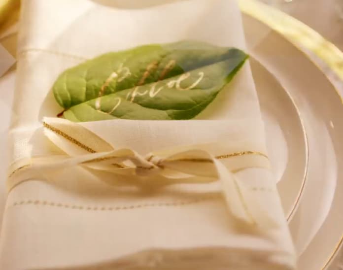 Styled Napkin Fold