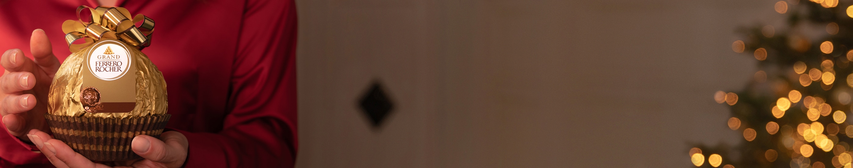 christmas_special_banner