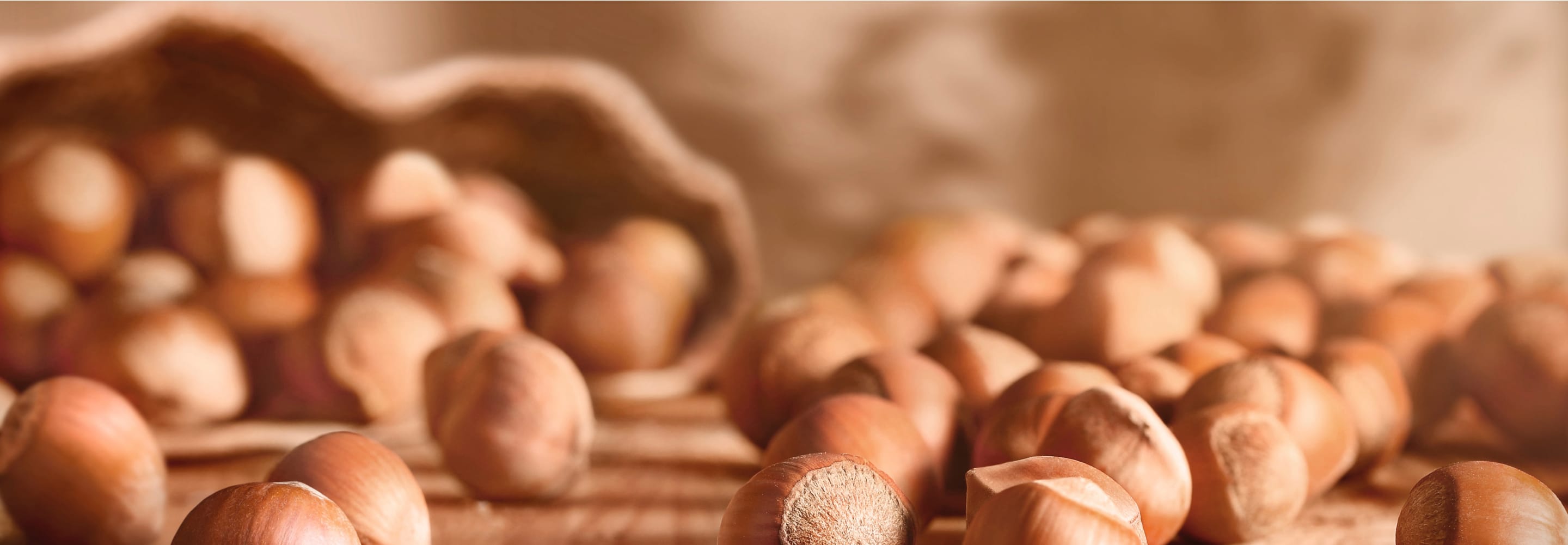 hazelnut