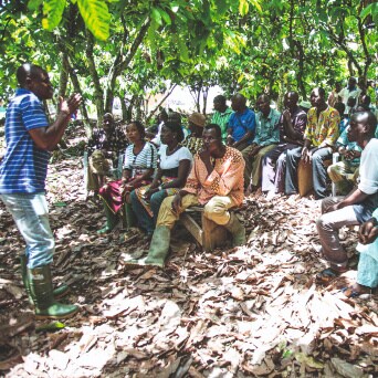 Wir unterstützen Kakaobauern