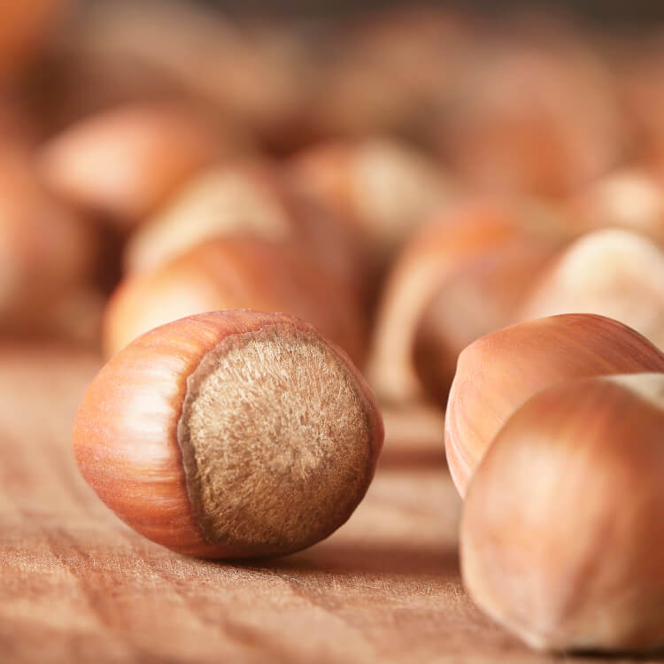 Klar til Ferreros faciliteter