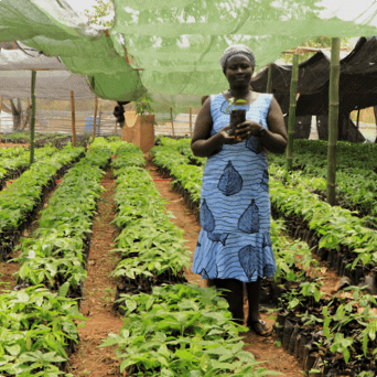 Diversificering af farmenes indkomst