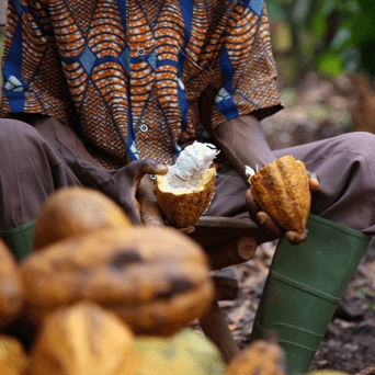 Grundlæggende krav – og mere til