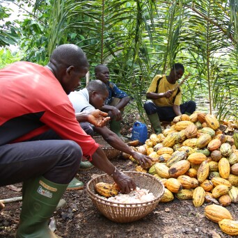 Empoderando comunidades locales