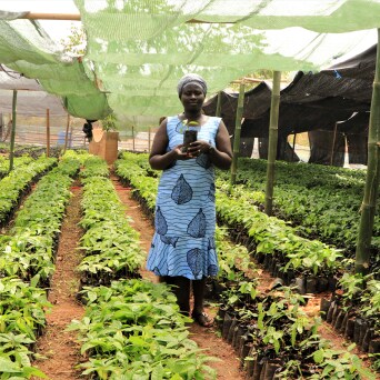 Asociación en el terreno