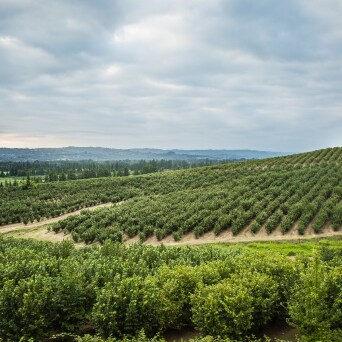 Mirando hacia el futuro