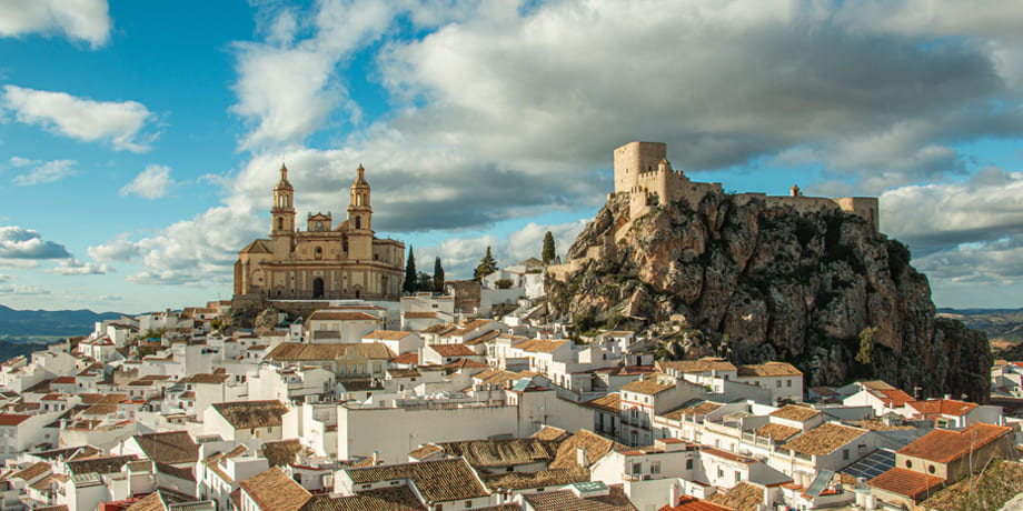 Olvera
