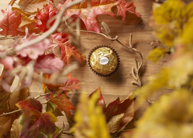 The great return after the summer