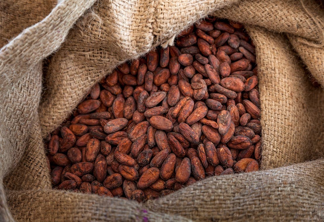 Comprobación del cacao en origen