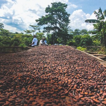 Ingredients Ferrero Rocher