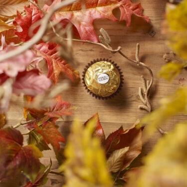 The great return after the summer