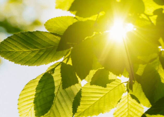 Protéger nos produits de la chaleur