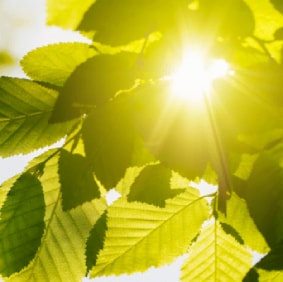 Protéger nos produits de la chaleur