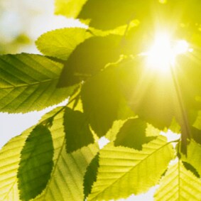 Protéger nos produits de la chaleur