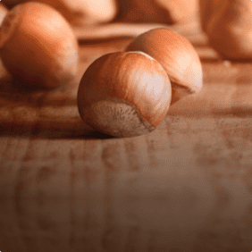 Quality & Sustainability 