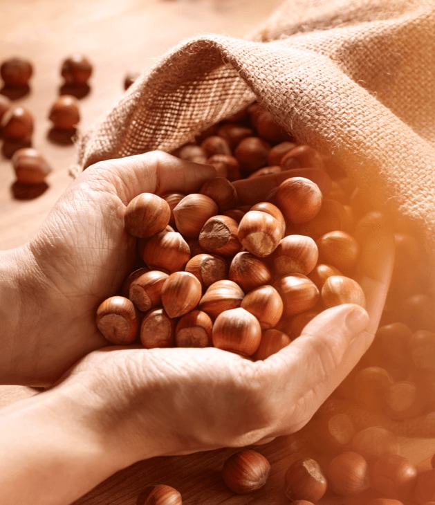 Nocciole