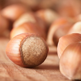 Our Quality Approach Article1