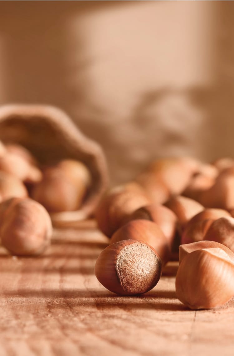 Hazelnut