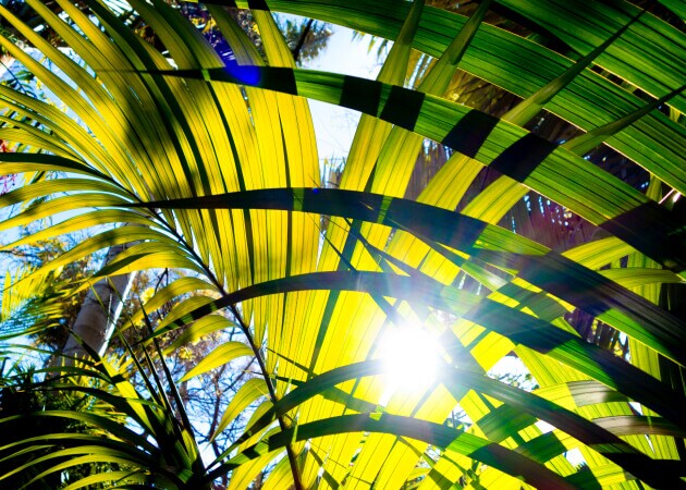 Protecting from the heat