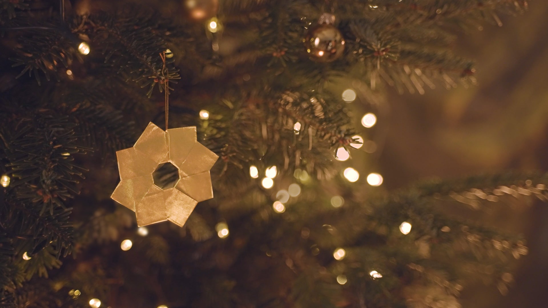goldenstar-video