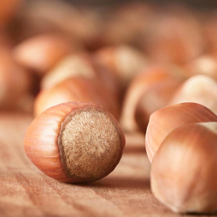 Ready for Ferrero’s facilities: