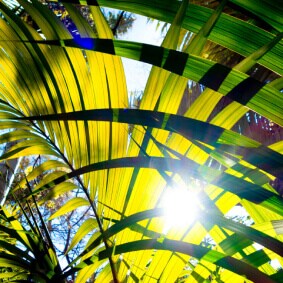 grid-Protecting-from-the-heat