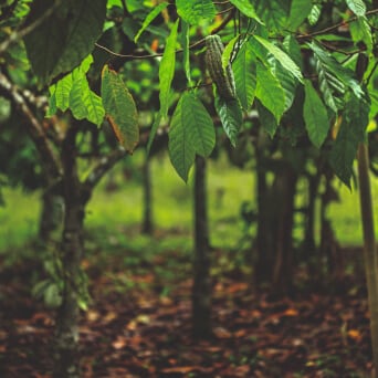 Партнерство на благо прогресса