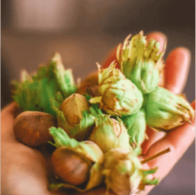 How we protect our quality