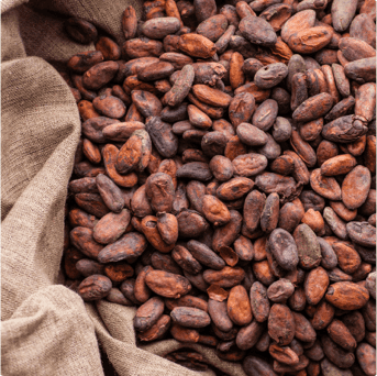 Cocoa