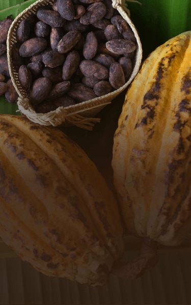 Sustainable quality