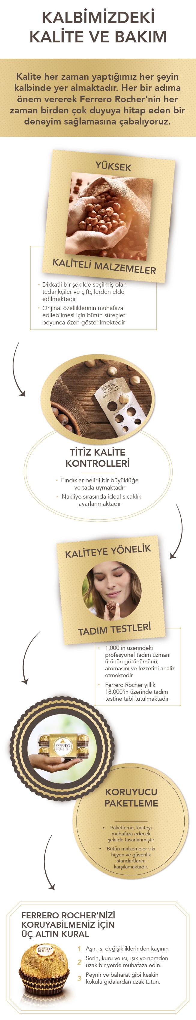 ferrero_rocher_infographic_design-tr-221129-desktop