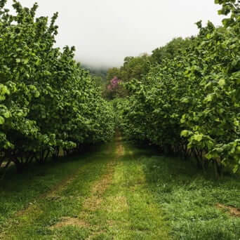 Farming with Nature