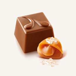 Caramel Leonardo